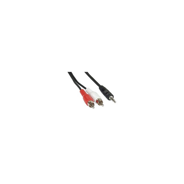 Cavo Aux Sdoppiatore RCA di 3mt da Jack 3,5 Stereo a 2 spina RCA PC Computer